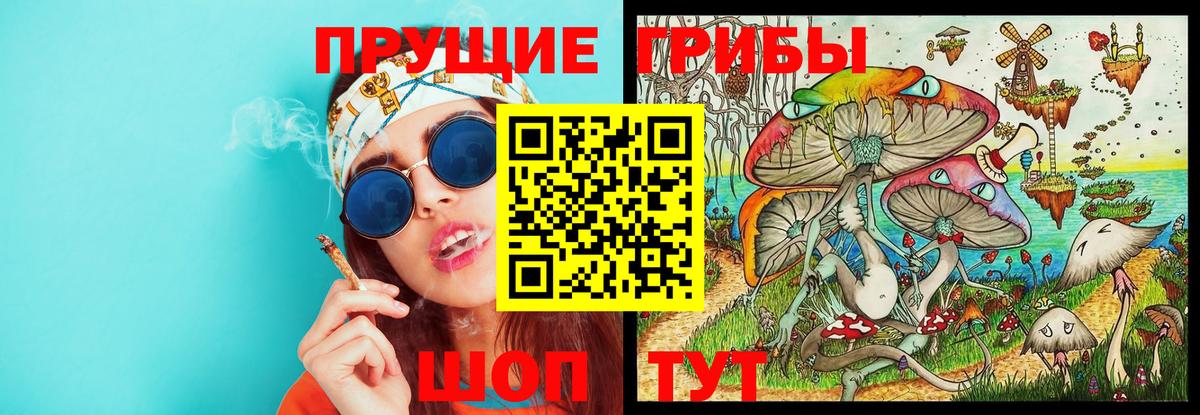 Псилоцибиновые грибы ЛСД Партизанск