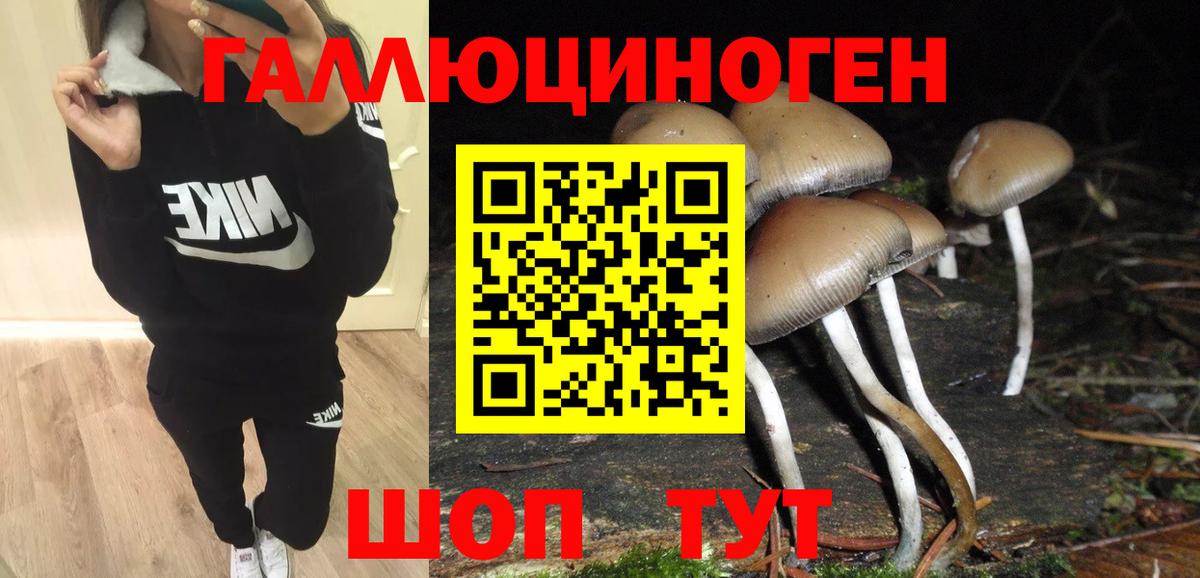 магазин  наркотиков  Вход с VPN  Партизанск  Галлюциногенные грибы Cubensis 